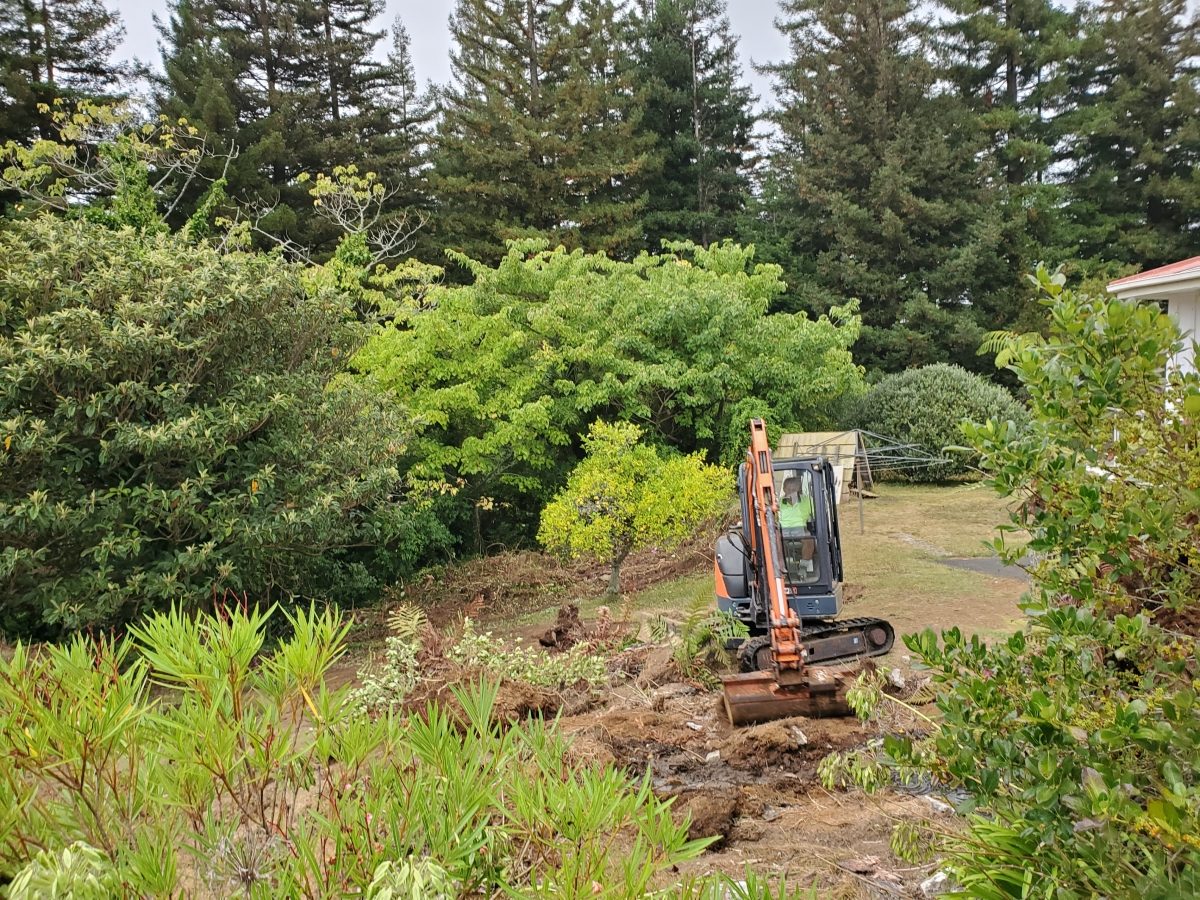 Section reshape in progress